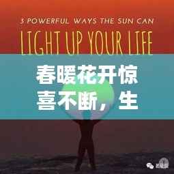 春暖花开惊喜不断,生命的活力与喜悦瞬间视频记录