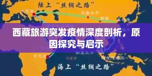 西藏旅游突发疫情深度剖析,原因探究与启示