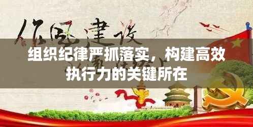 组织纪律严抓落实,构建高效执行力的关键所在