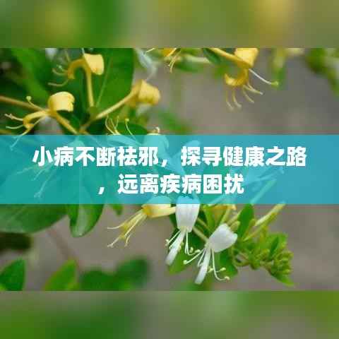 小病不断祛邪,探寻健康之路,远离疾病困扰
