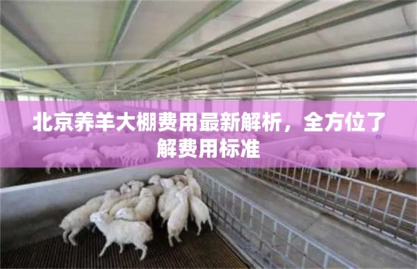北京养羊大棚费用最新解析,全方位了解费用标准