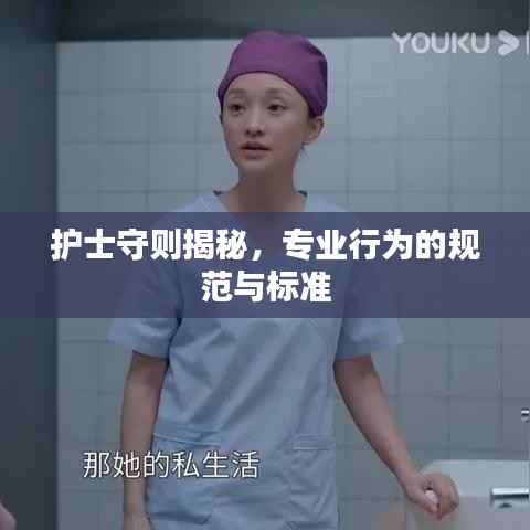 护士守则揭秘,专业行为的规范与标准