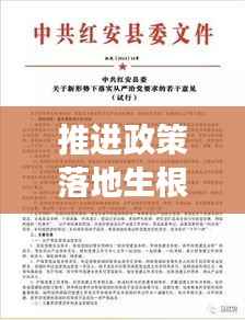 推进政策落地生根,构建有效执行体系的策略与必要性探讨