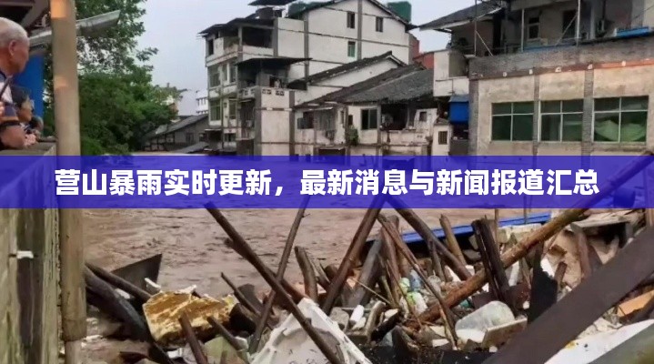 营山暴雨实时更新,最新消息与新闻报道汇总