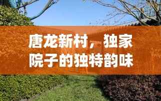 唐龙新村,独家院子的独特韵味与风情展示