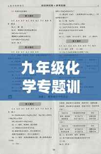 九年级化学专题训练二,深化理解与提升应用能力实战演练