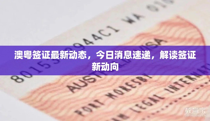 澳粤签证最新动态,今日消息速递,解读签证新动向