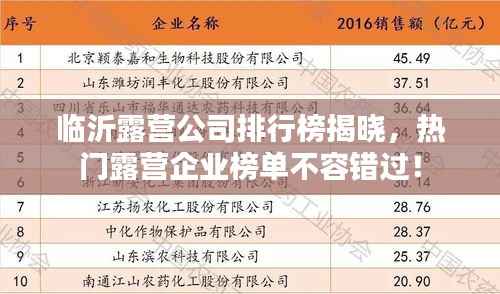 临沂露营公司排行榜揭晓，热门露营企业榜单不容错过！