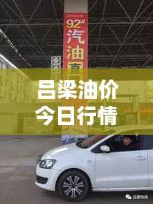 吕梁油价今日行情,最新价格动态与深度分析