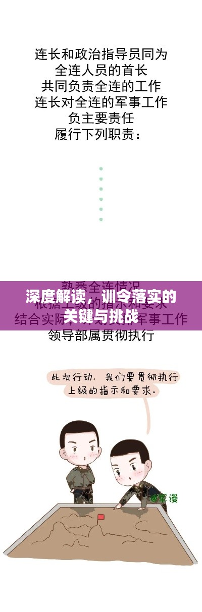 深度解读,训令落实的关键与挑战