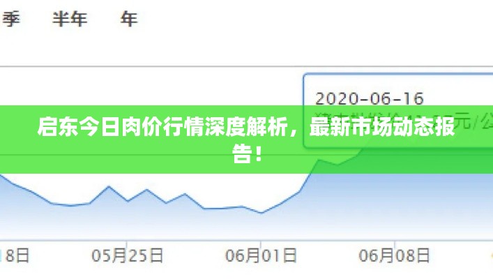 启东今日肉价行情深度解析，最新市场动态报告！