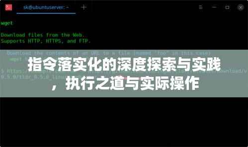 指令落实化的深度探索与实践，执行之道与实际操作