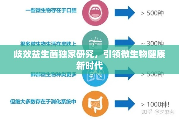 hubeixiongyao 第6页