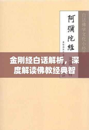 金刚经白话解析,深度解读佛教经典智慧