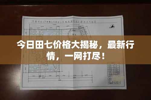 今日田七价格大揭秘，最新行情，一网打尽！