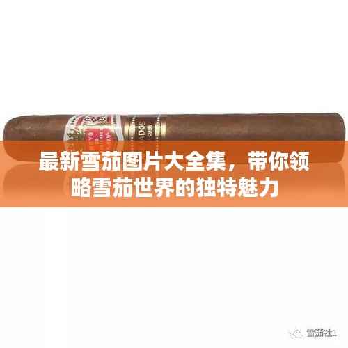 最新雪茄图片大全集,带你领略雪茄世界的独特魅力