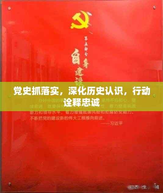 党史抓落实,深化历史认识,行动诠释忠诚
