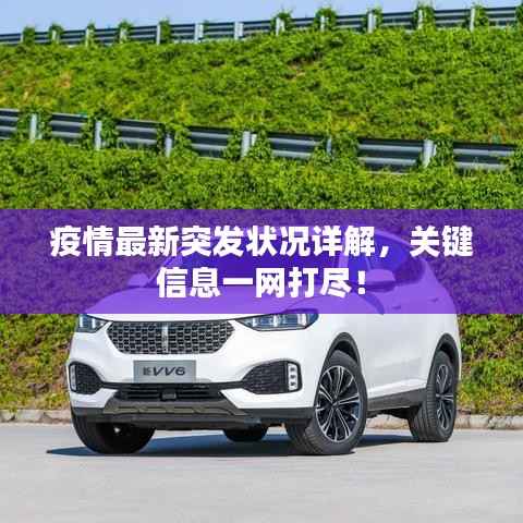疫情最新突发状况详解,关键信息一网打尽!