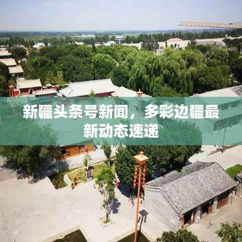 新疆头条号新闻，多彩边疆最新动态速递